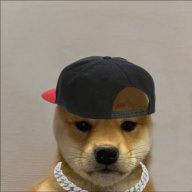 DOGE